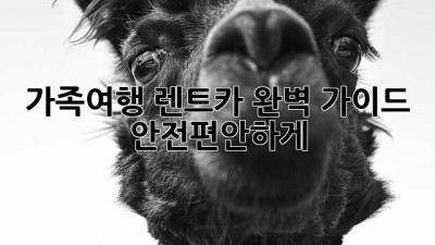 가족여행🚗 렌트카 완벽 가이드: 안전&편안하게!👨‍👩‍👧‍👦